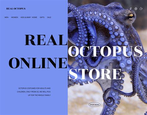 Octopus Online Store.